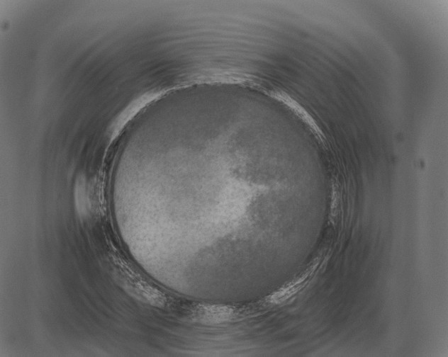 X0000082720878200702091810