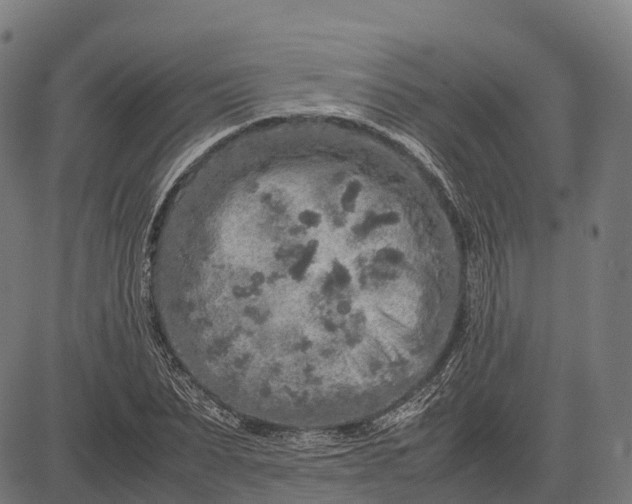 X0000082720879200702091810