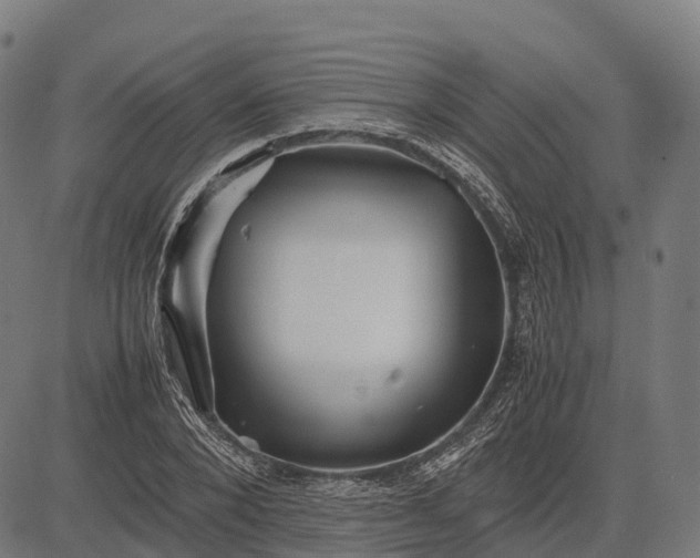 X0000082720880200702091810