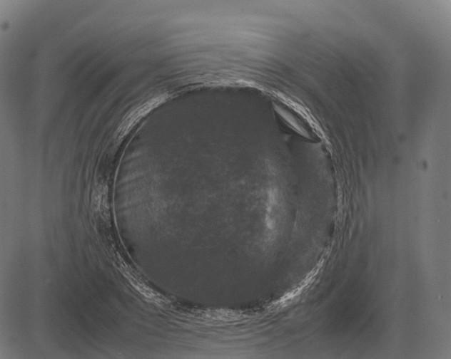 X0000082720881200702091810