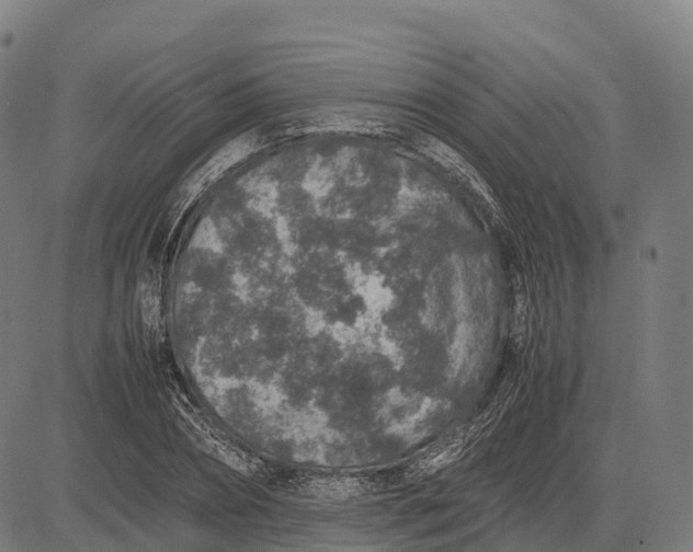 X0000082720882200702091810