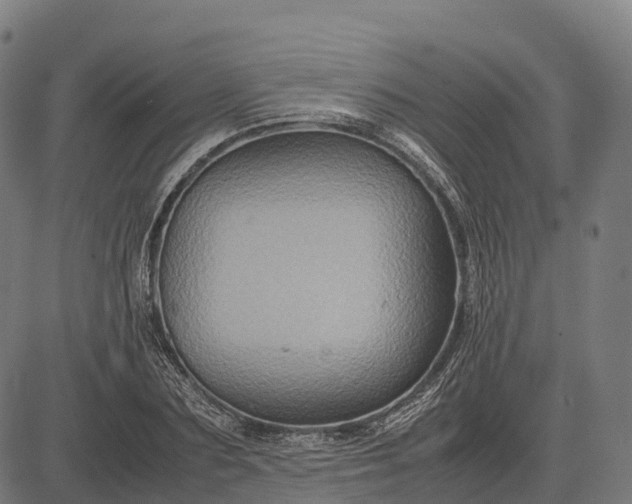 X0000082720883200702091810