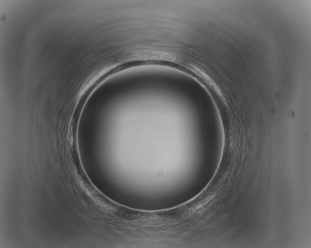 X0000082720885200702091810