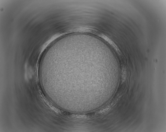 X0000082720886200702091810