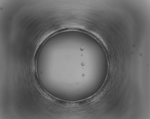 X0000082720887200702091810