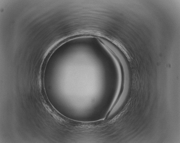 X0000082720888200702091810