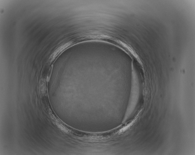 X0000082720889200702091810