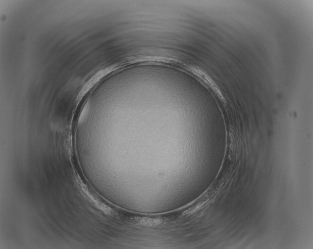 X0000082720890200702091810