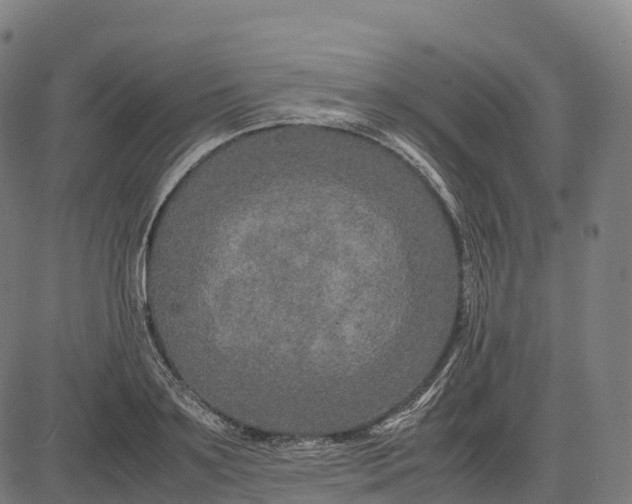 X0000082720891200702091810