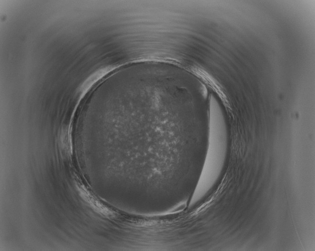 X0000082720892200702091810