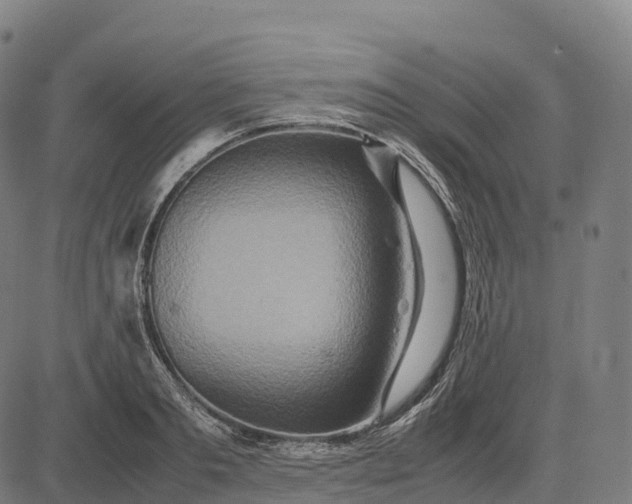 X0000082720893200702091810