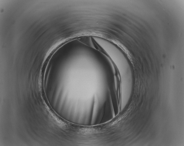 X0000082720894200702091810