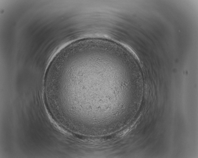 X0000082720895200702091810