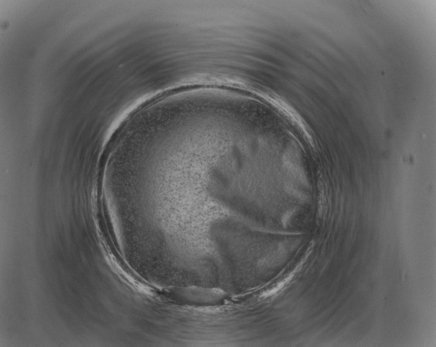 X0000082720896200702091810