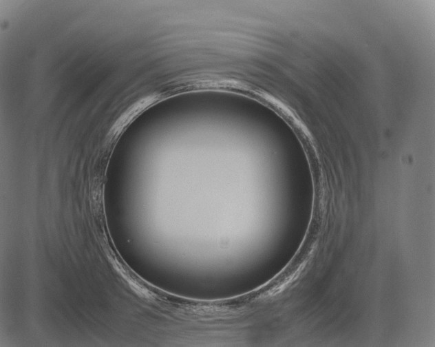 X0000082720897200702091810