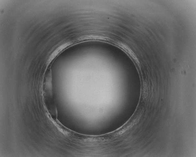 X0000082720898200702091810