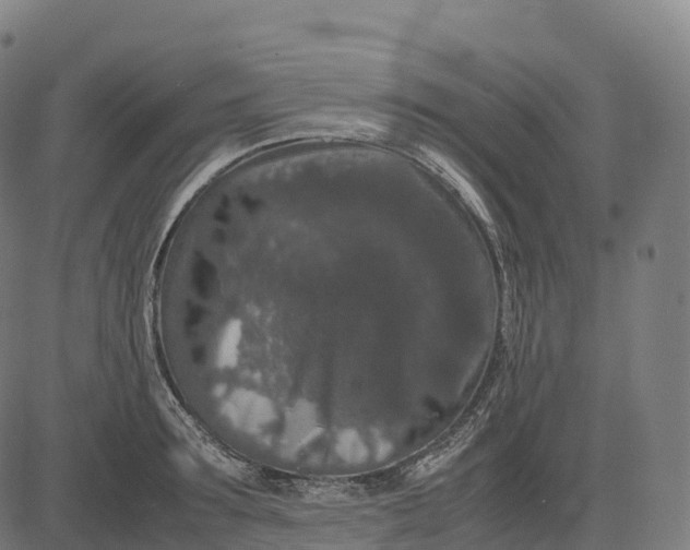 X0000082720899200702091810