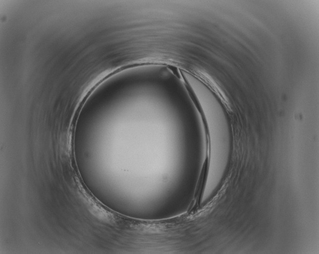 X0000082720900200702091810