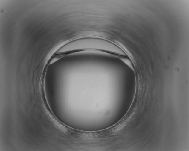 X0000082720901200702091809