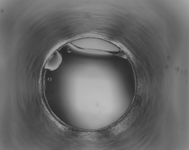 X0000082720902200702091809