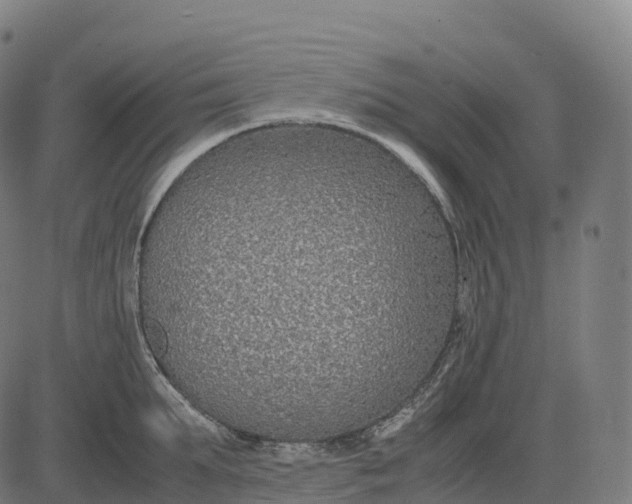 X0000082720903200702091809