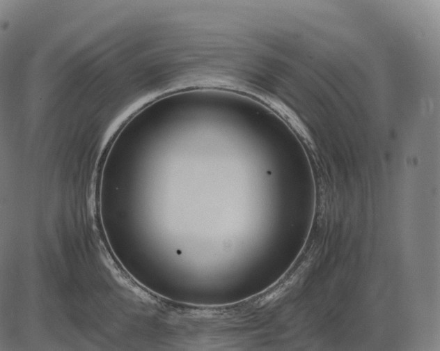 X0000082720904200702091809