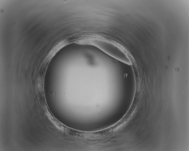 X0000082720905200702091809