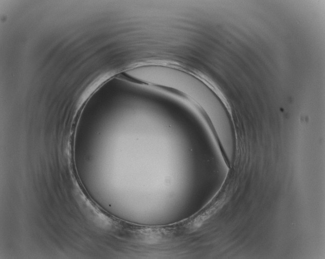 X0000082720906200702091809