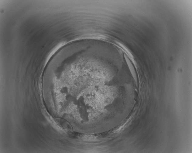 X0000082720907200702091809