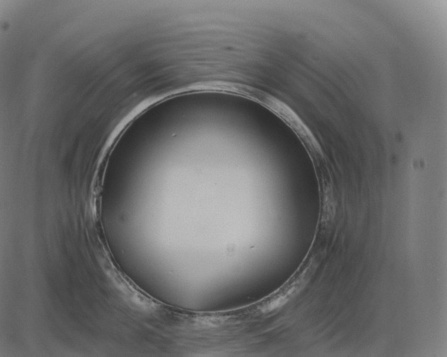 X0000082720908200702091809