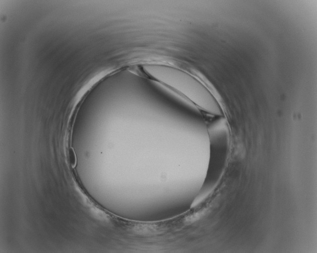 X0000082720909200702091809