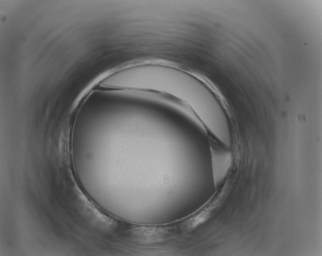 X0000082720910200702091809