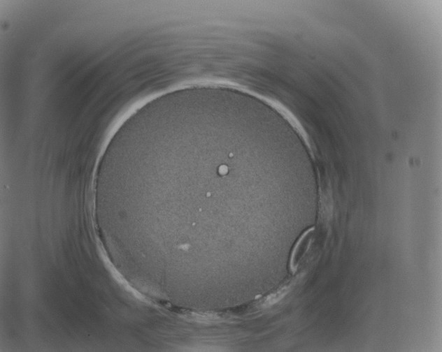 X0000082720911200702091809