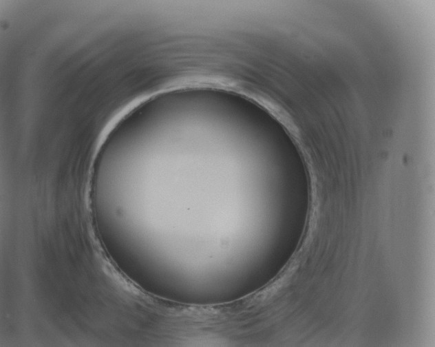 X0000082720912200702091809