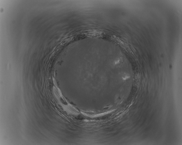 X0000082720913200702091809