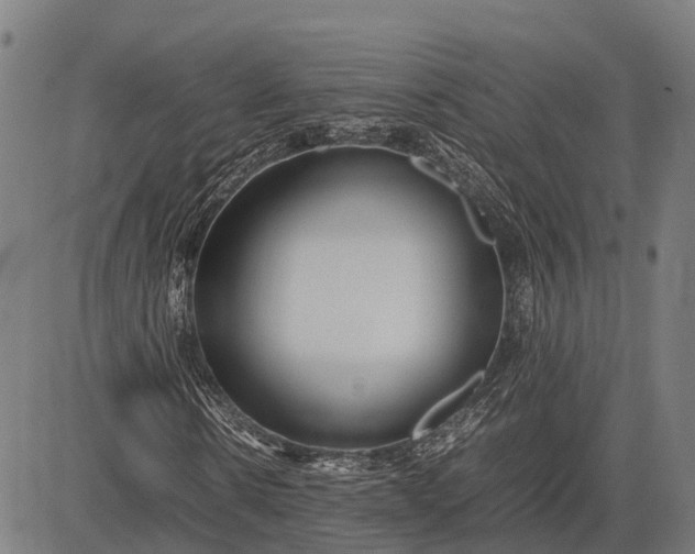 X0000082720914200702091809