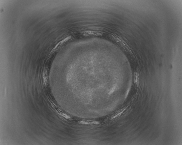 X0000082720915200702091809