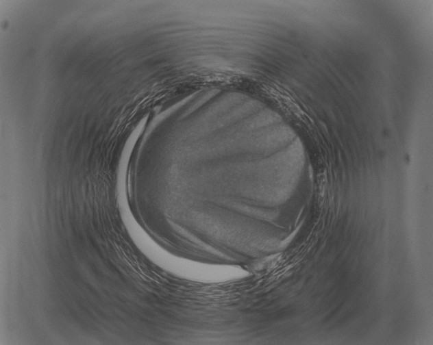 X0000082720916200702091809