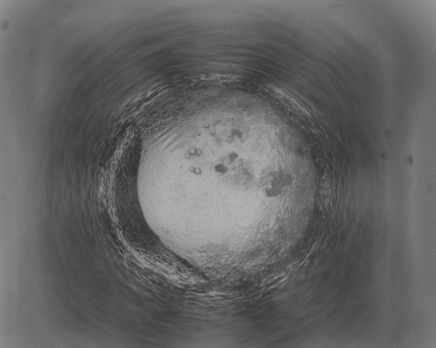 X0000082720917200702091809