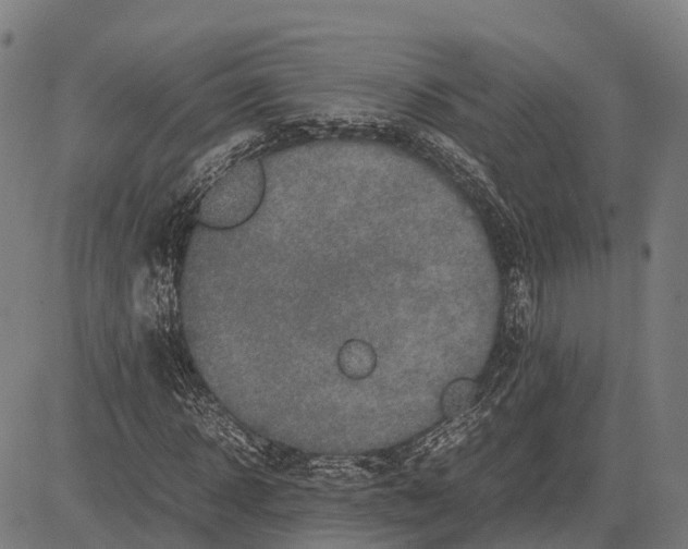 X0000082720918200702091809