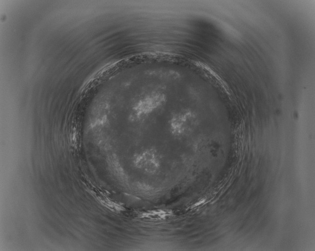 X0000082720919200702091809