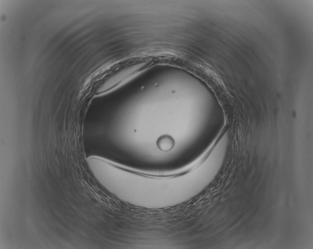 X0000082720920200702091809