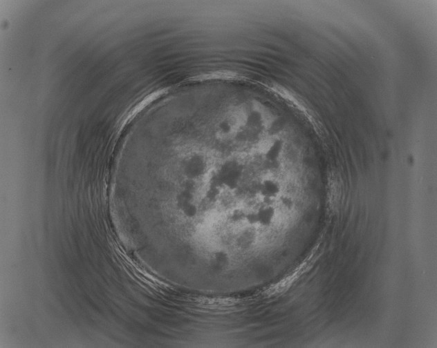 X0000082720921200702091809