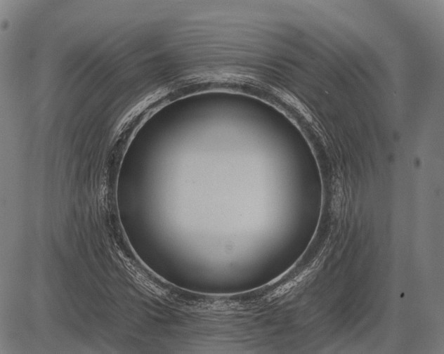 X0000082720922200702091809