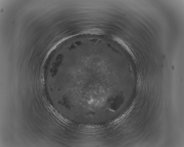 X0000082720923200702091809