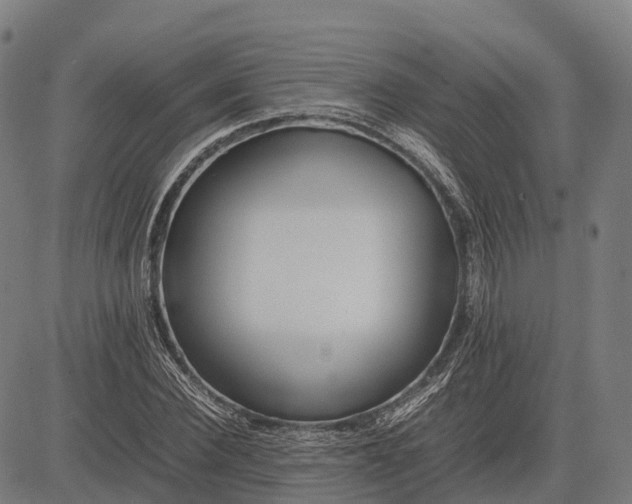 X0000082720924200702091809