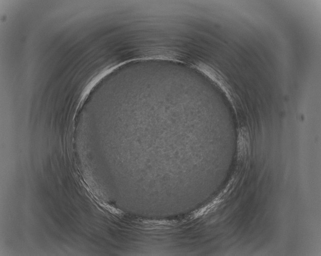 X0000082720925200702091809