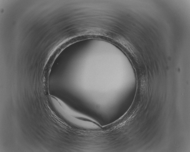 X0000082720926200702091809