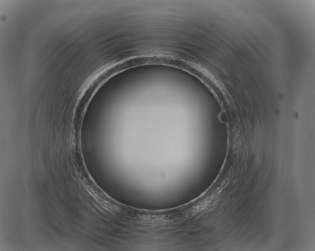 X0000082720927200702091809