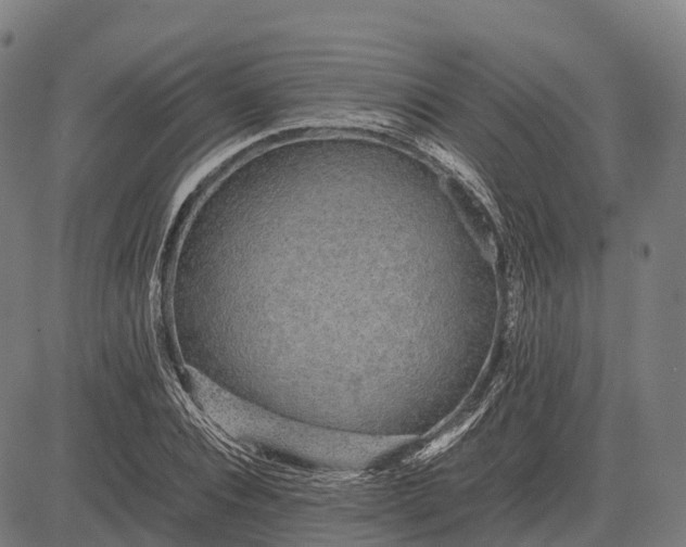 X0000082720928200702091809